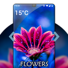 Wallpaper of Flowers HD icône