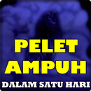 Pelet ampuh dalam satu hari APK