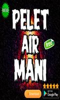 pelet air mani imagem de tela 1