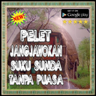 آیکون‌ Pelet Jangjawokan Suku Sunda T