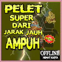 Pelet Super Dari Jarak Jauh Am poster