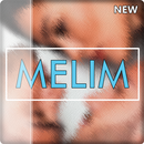 Musica Melim - Ouvi Dizer Letras APK