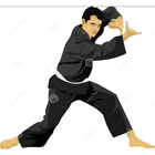 Panduan pencak silat karate PSHT Indonesia icon