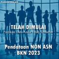 Pendataan Non ASN 2023