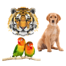 Animals and Birds Sounds for K APK