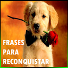 Frases para reconquistar icône