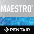 Maestro