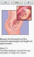 Nine Sweet Months 截图 2