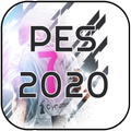 Guide for pes