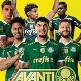 Figurinhas do Palmeiras-icoon