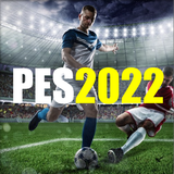 PESMASTER PRO 22 Soccer icône
