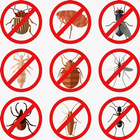 Pest Control biểu tượng