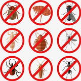 Pest Control icono