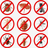 Pest Control icon