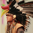 Kamus Dayak Ngaju APK