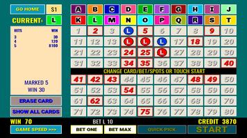 Multi 20 Card Keno স্ক্রিনশট 1