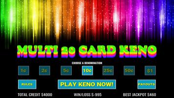 Multi 20 Card Keno স্ক্রিনশট 2