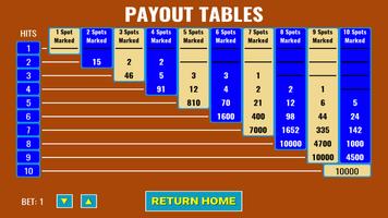 Multi 20 Card Keno স্ক্রিনশট 3