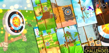 Archery Master Challenges