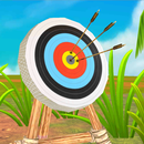 Archery Bow Challenges aplikacja