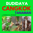 Cara Mencangkok Tanaman dan Buah-buahan APK