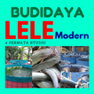 Cara Budidaya Lele Modern
