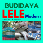 Cara Budidaya Lele Modern icône
