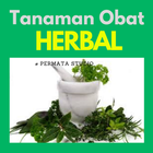 Aneka Tanaman Obat Herbal ícone