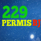 229 PERMIS BJ
