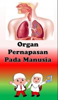 Aplikasi Organ Pernapasan Manusia gönderen