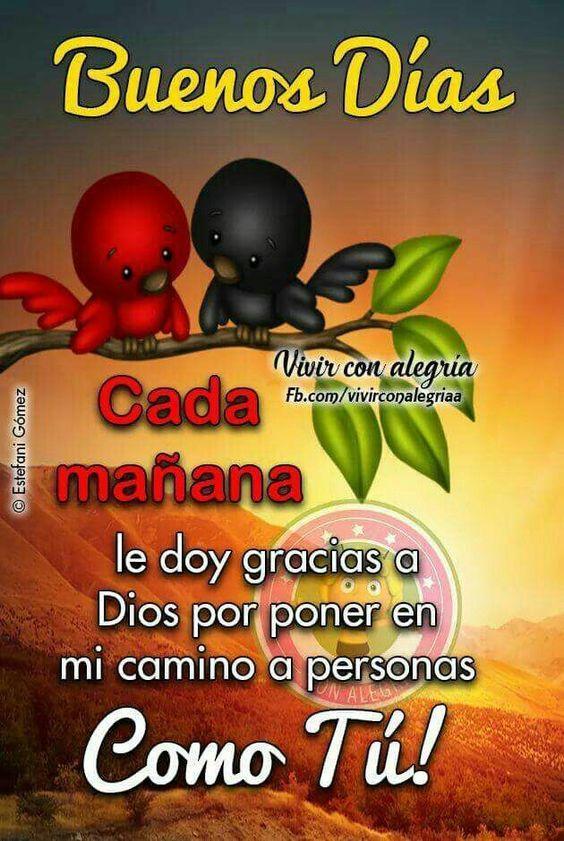 Buenos dias Buenas tardes y Buenas noches Gifs APK للاندرويد تنزيل Buenos dias Buenas tardes y Buenas noches Gifs APK للاندرويد تنزيل