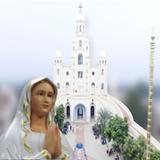 Icona Lourdes Shrine - Perambur