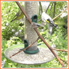 animal traps APK