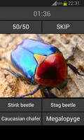Devinez l&#39;insecte capture d'écran 2