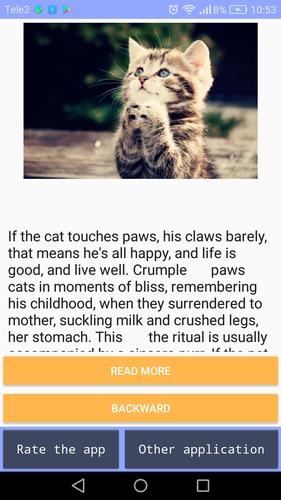 Translator On Cat To Understand Cats For Android Apk Download