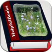 Perennial Plant