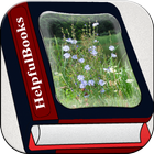 Perennial Plant simgesi
