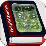 Perennial Plant ikon