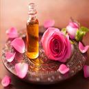 صناعة العطور في المنزل APK