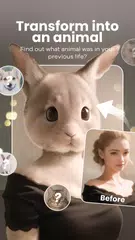 Perface - Cartoon Photo Editor XAPK download