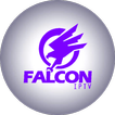 Perfect Falcon