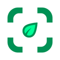 Plant identifier from photo