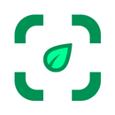 照片中的植物标识符 APK