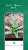 Identificador de plantas Cartaz