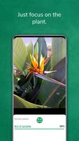 Identificador de plantas imagem de tela 2
