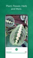 Identificador de plantas imagem de tela 3