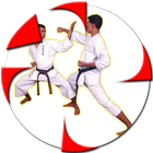 Karate Technique icon