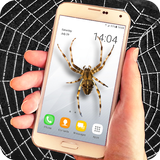 Spider filter prank иконка
