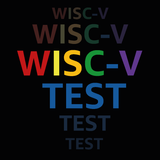 WISC-V Test Practice Pro