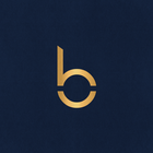 Babel Group আইকন
